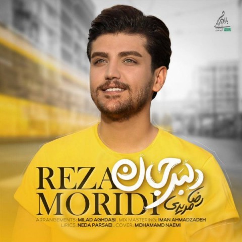 دانلود آهنگ رضا مریدی دلبر جان با کیفیت 320